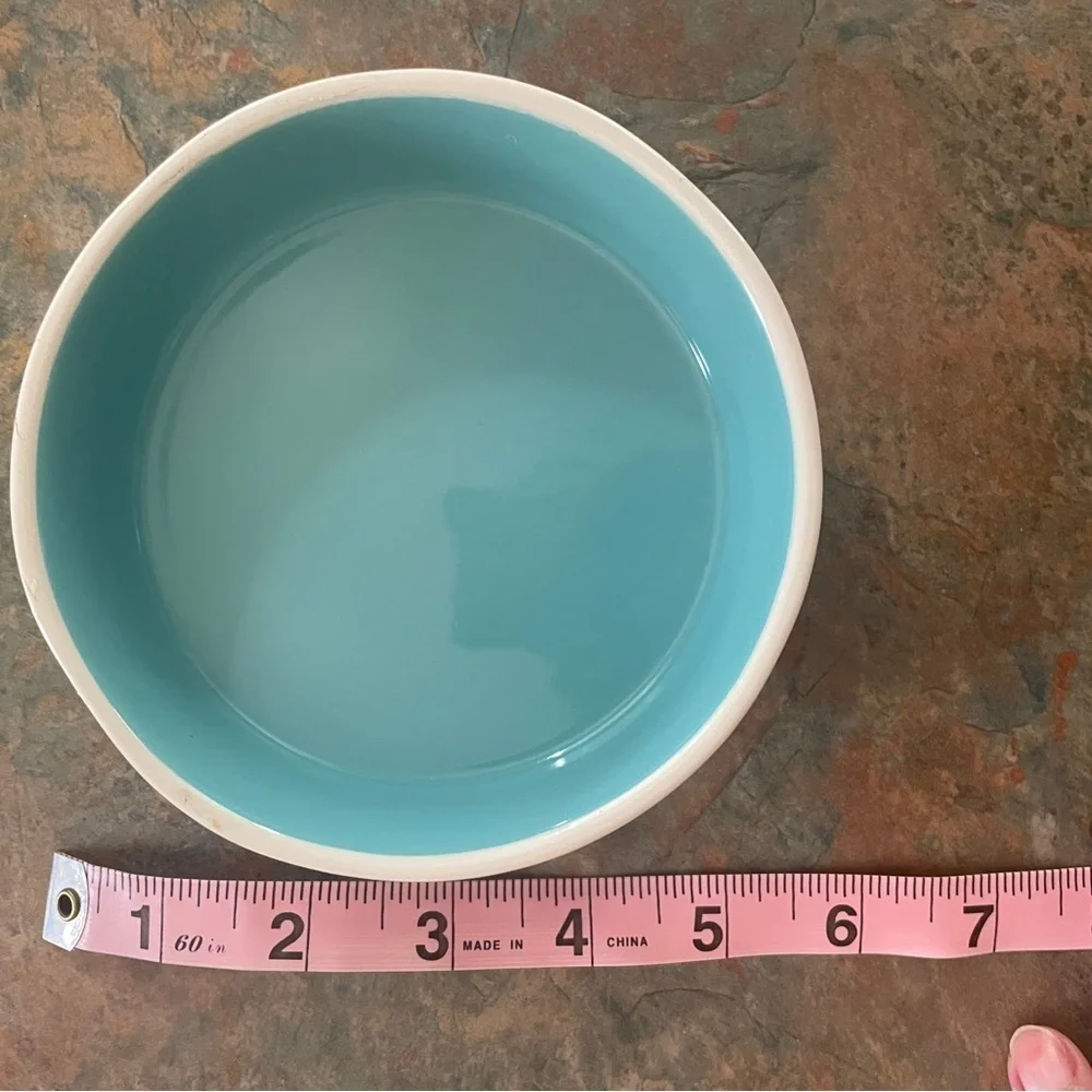 *host pick* Rae Dunn Small Dog/Cat Water Bowl Teal Inside